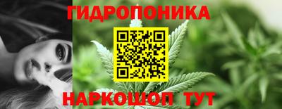 скорость Славгород