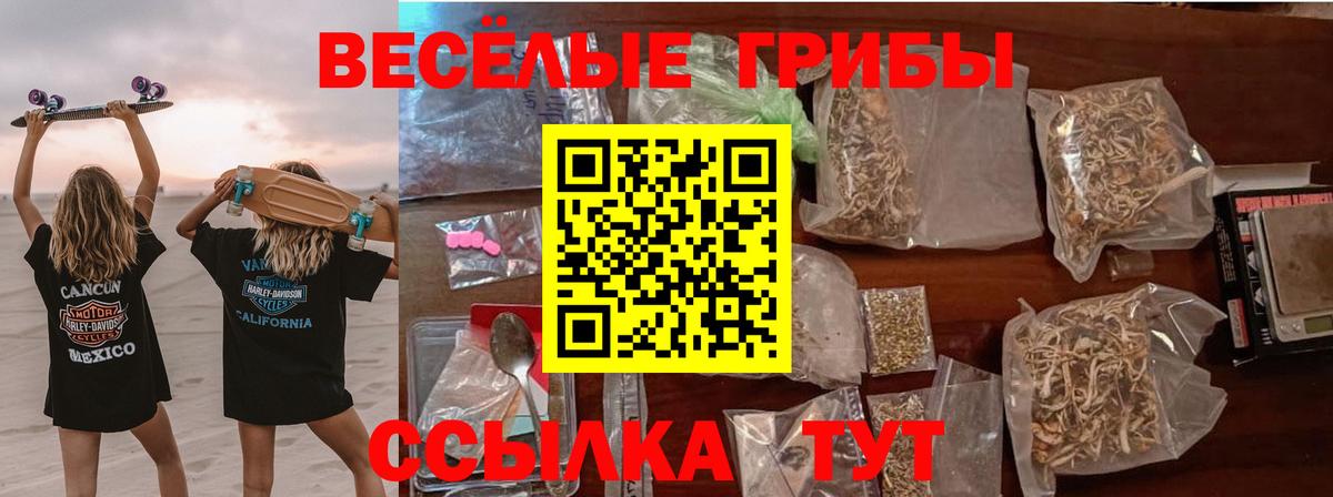 хочу наркоту  Вход с VPN  Орехово-Зуево  Псилоцибиновые грибы Psilocybine cubensis 